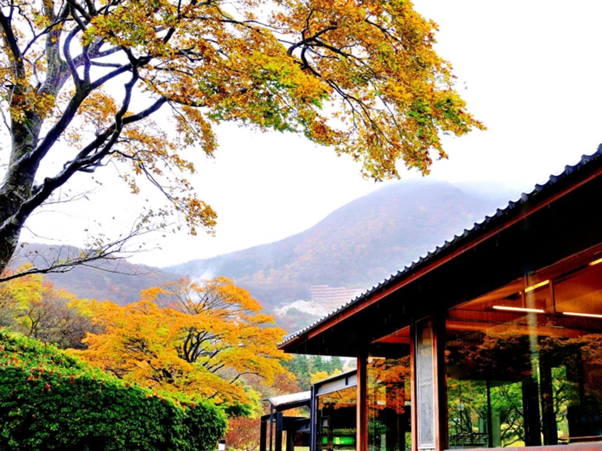 箱根湯の花プリンスホテル 神奈川町 エクステリア 写真