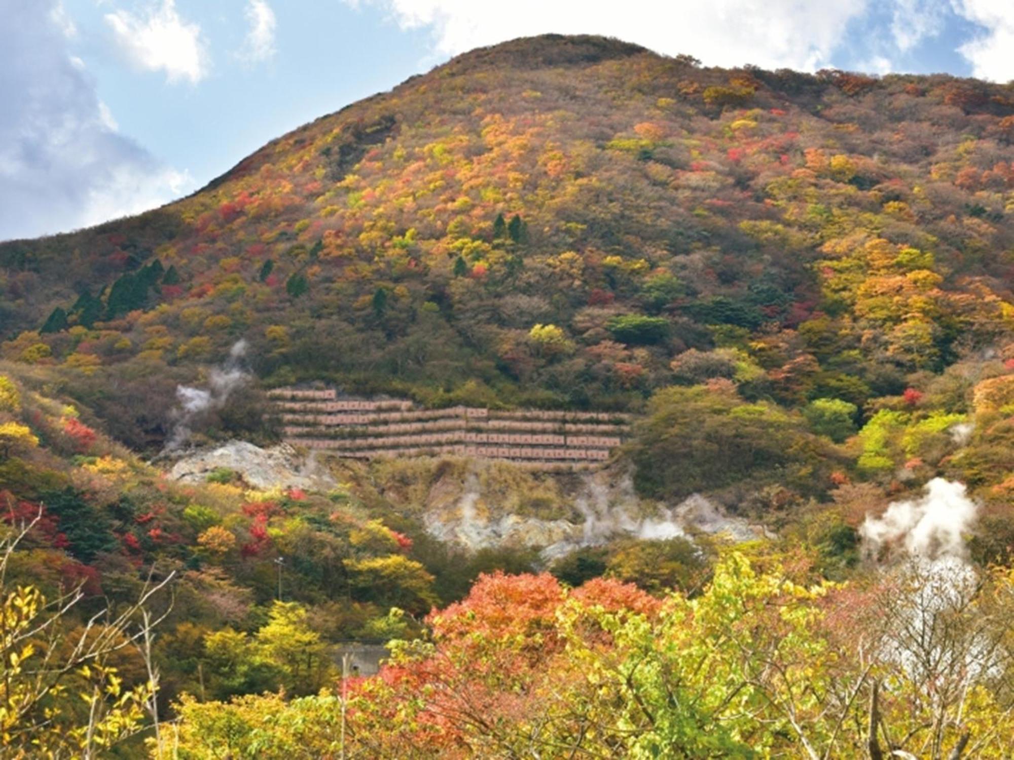 箱根湯の花プリンスホテル 神奈川町 エクステリア 写真