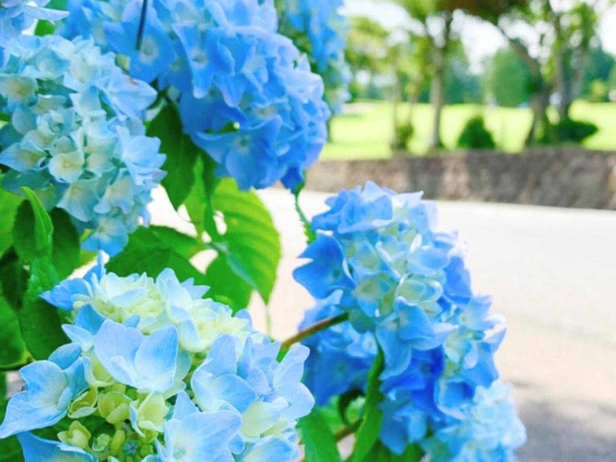 箱根湯の花プリンスホテル 神奈川町 エクステリア 写真