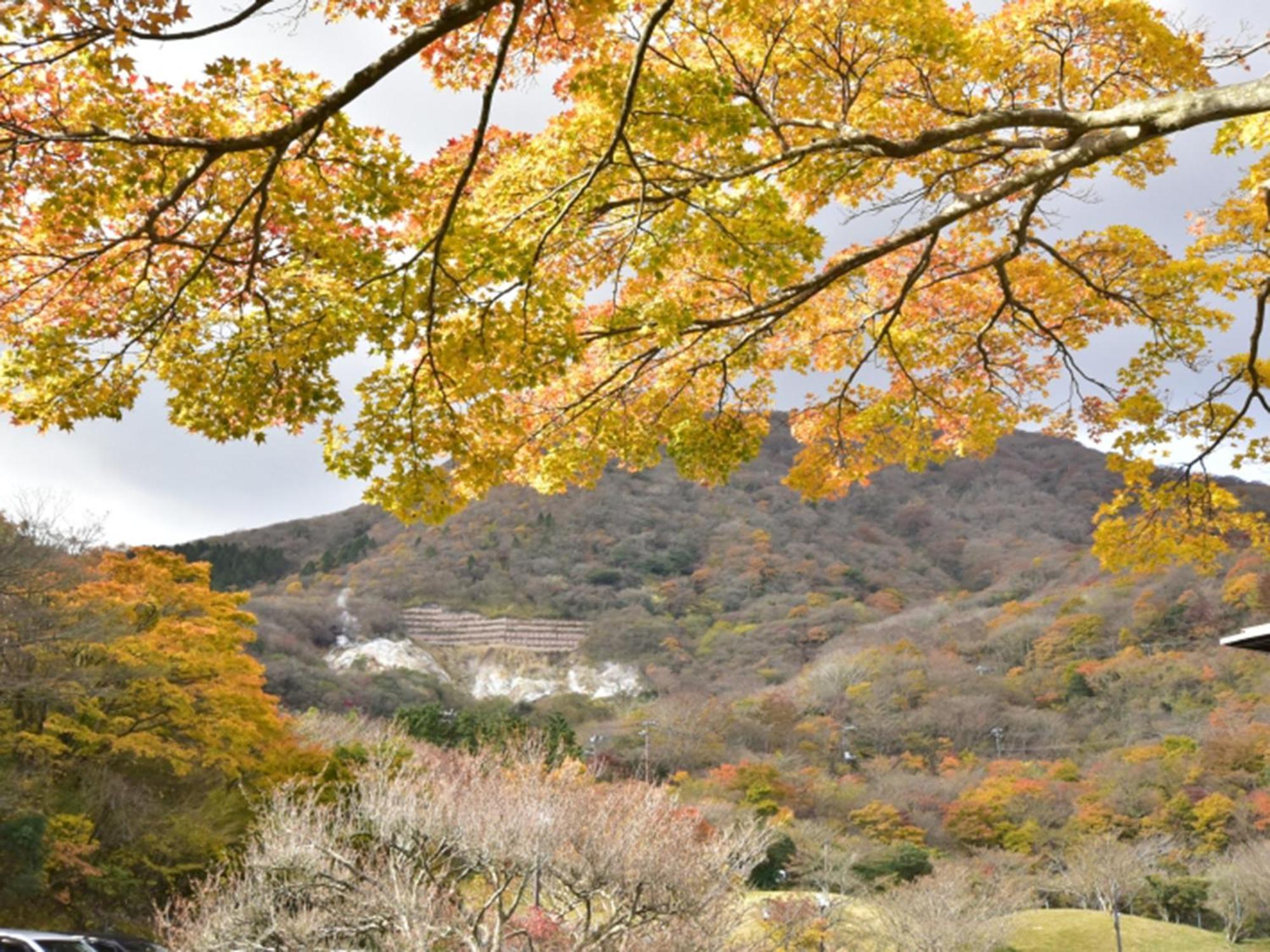 箱根湯の花プリンスホテル 神奈川町 エクステリア 写真