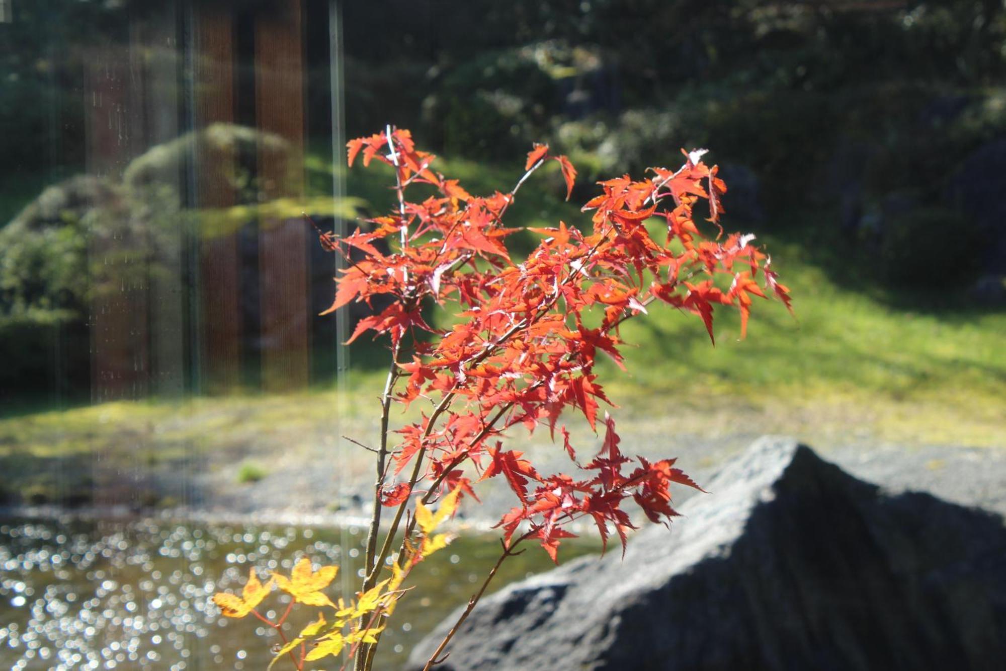 箱根湯の花プリンスホテル 神奈川町 エクステリア 写真
